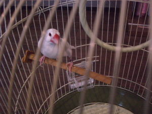 ���[�t���g�~���[�Y